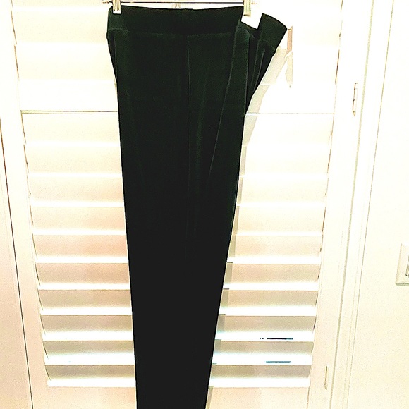 Talbots Pistachio Green Professional Pant 100% Cotton